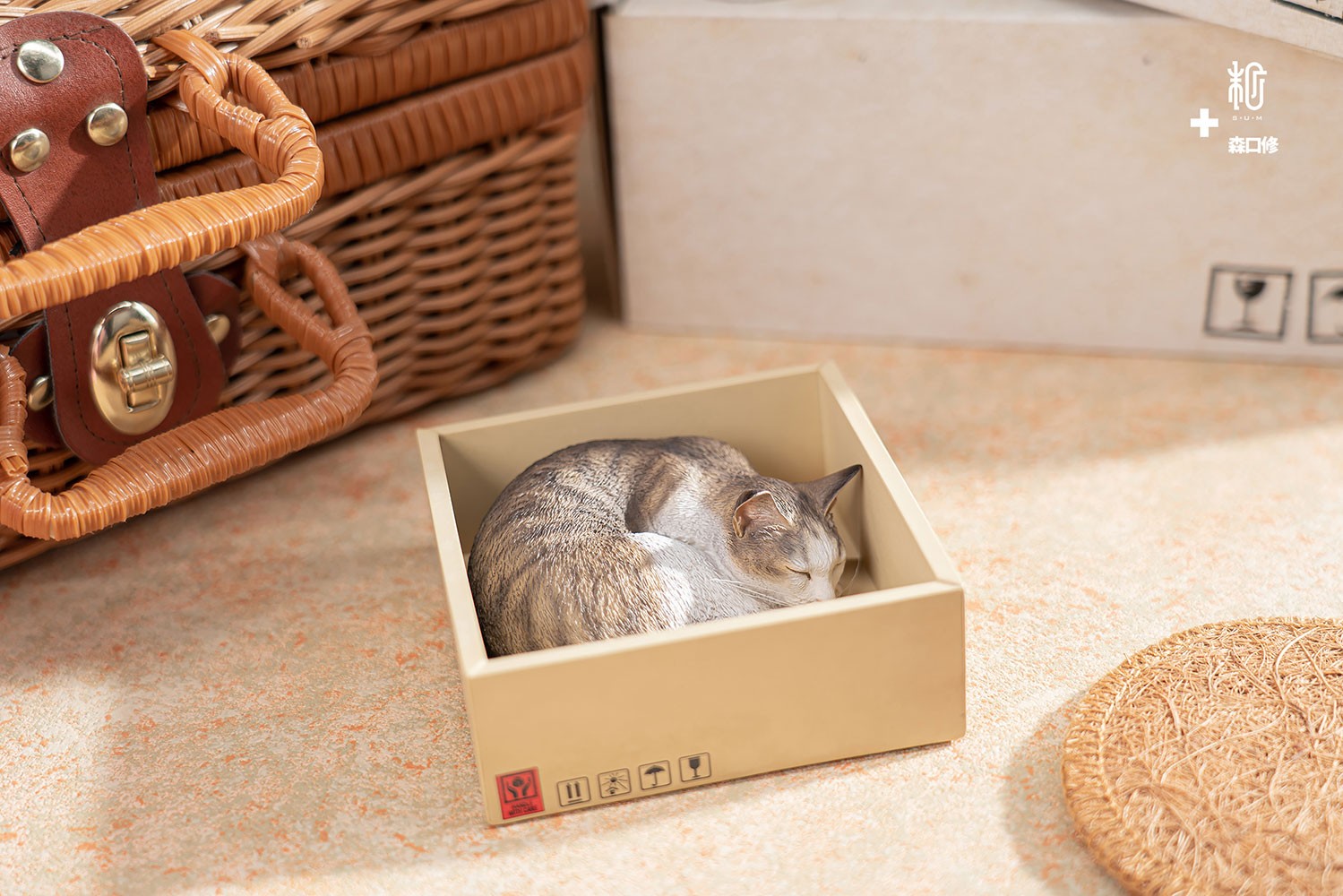 Sleeping Tabby Cat View 13