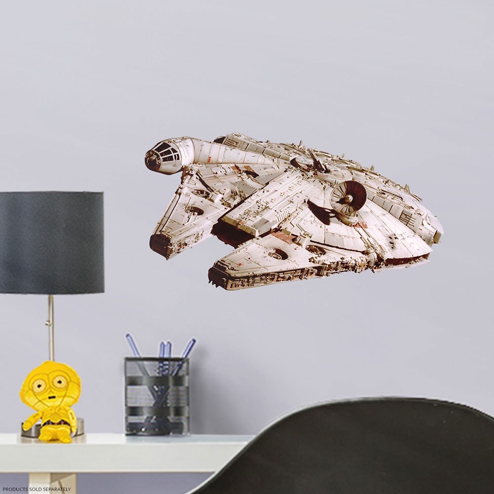 Millennium Falcon View 1