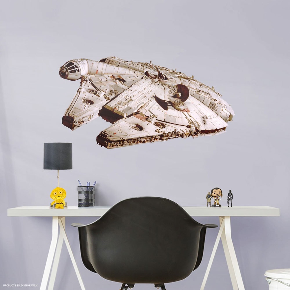 Millennium Falcon View 1