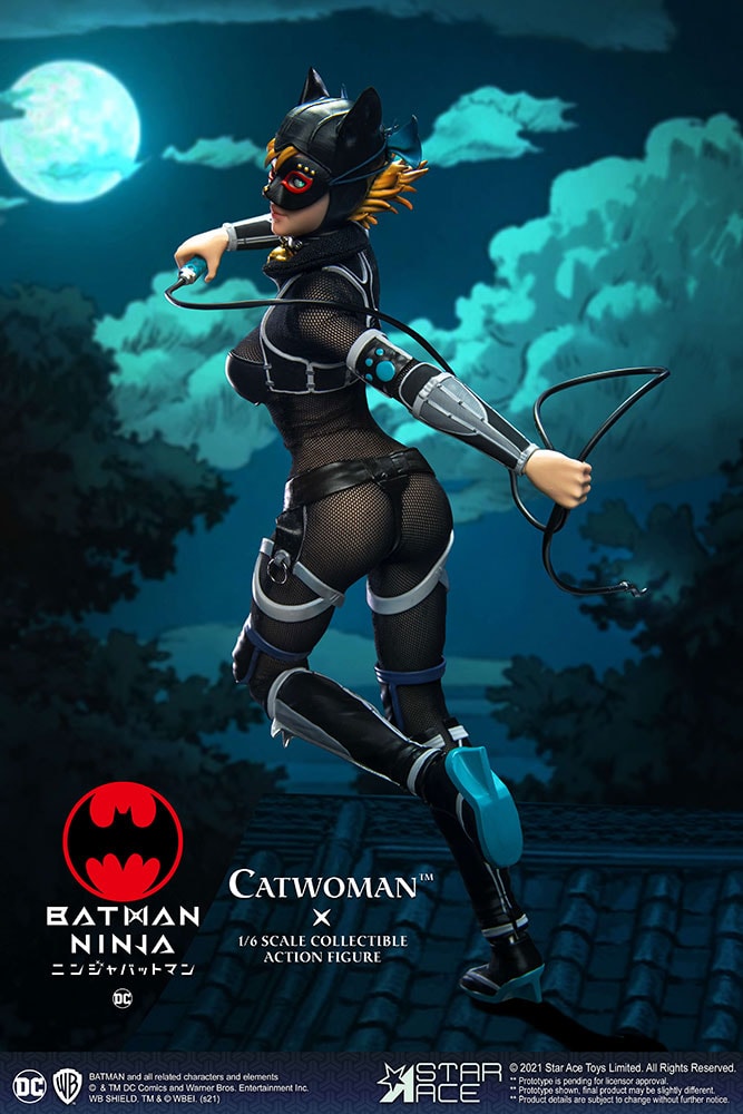 Catwoman Sixth Scale Figure by Star Ace Toys | Sideshow Collectibles