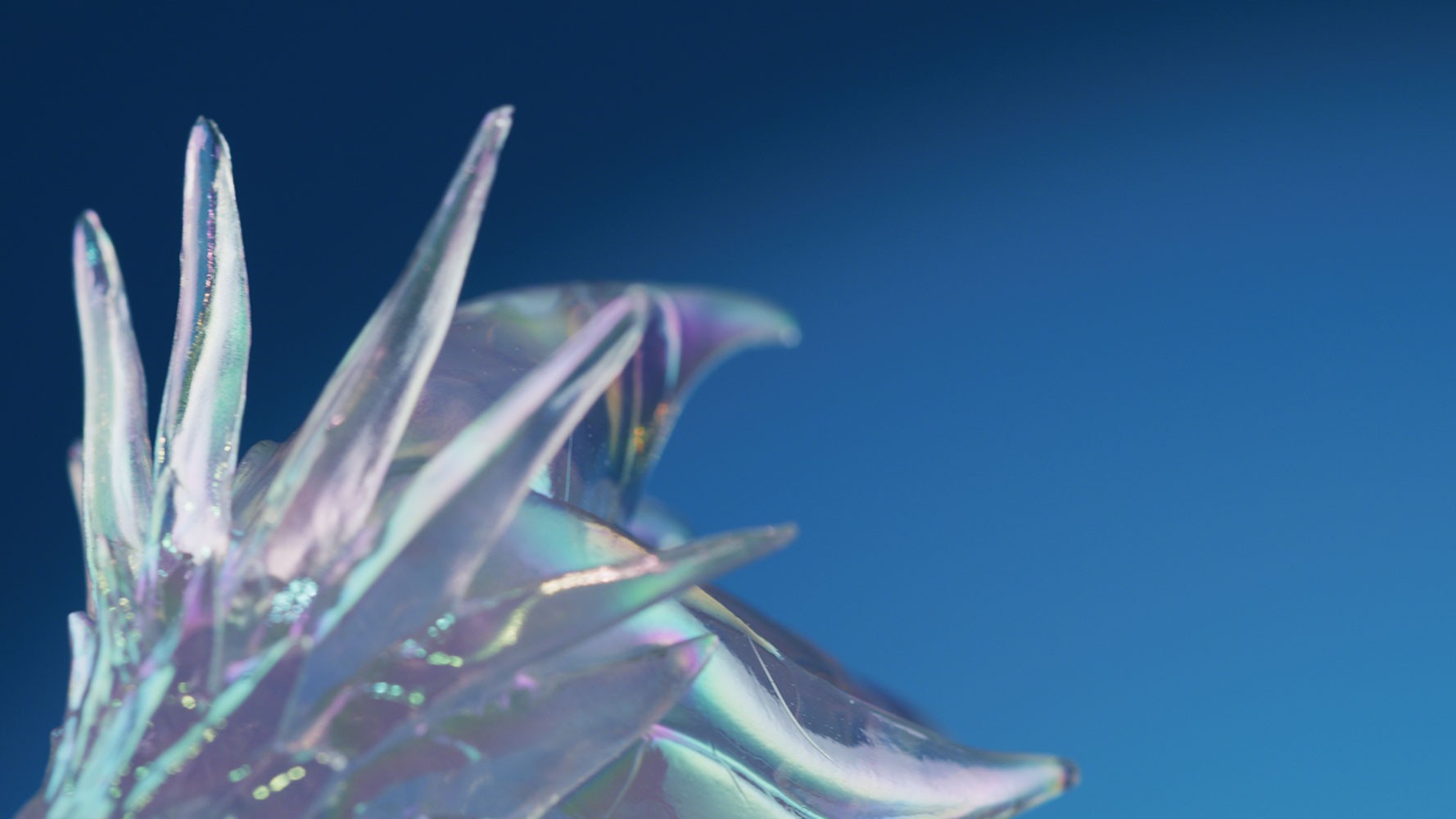 Aurene Dragon- Prototype Shown