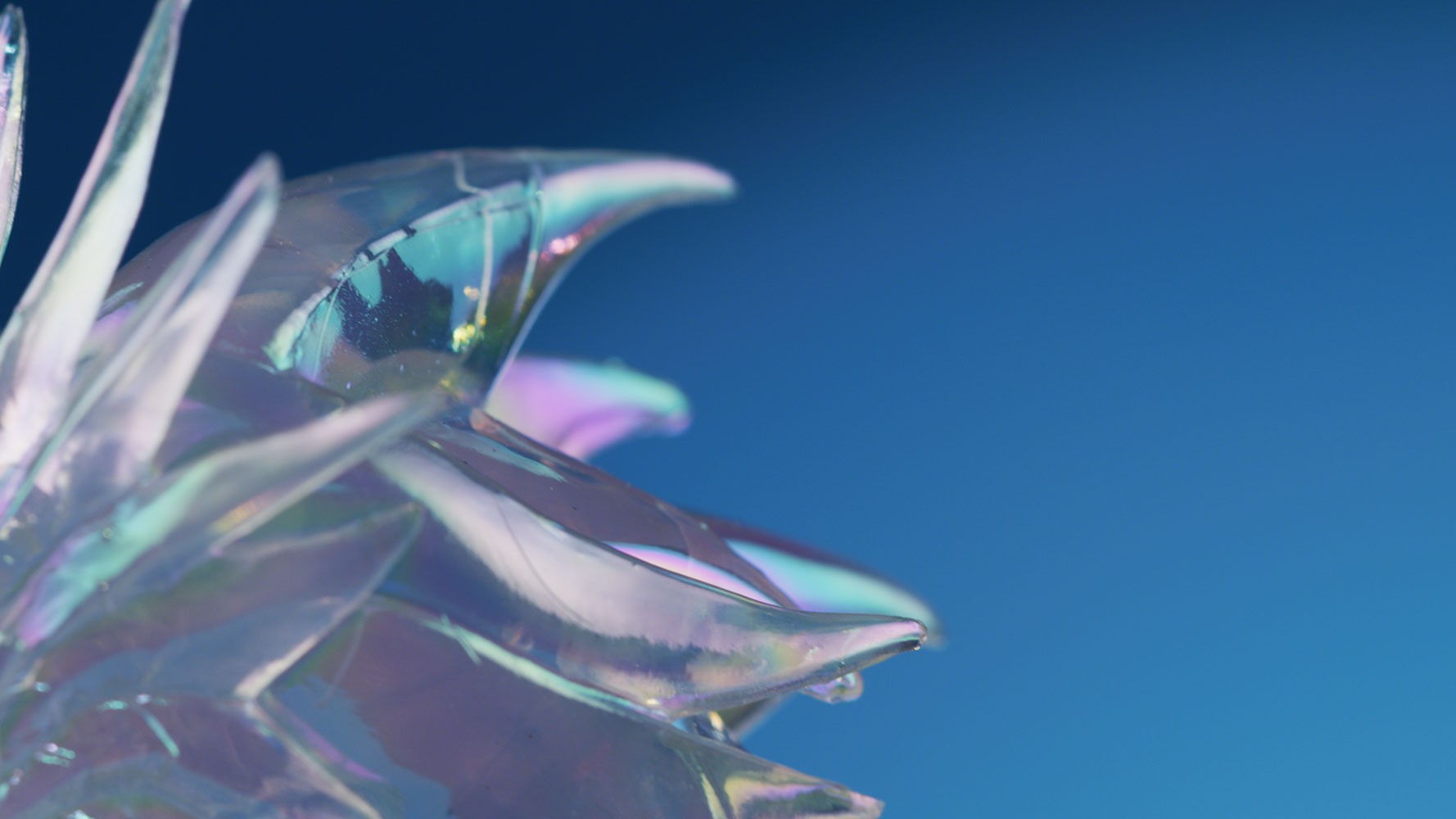 Aurene Dragon
