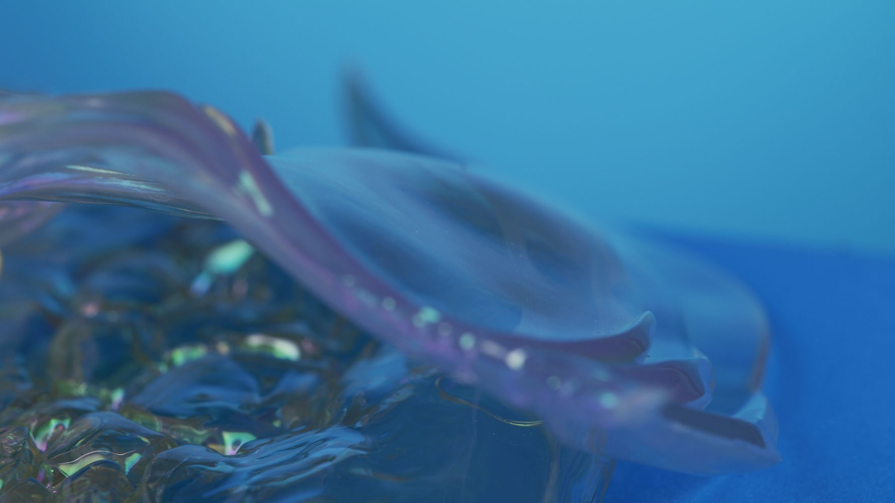 Aurene Dragon