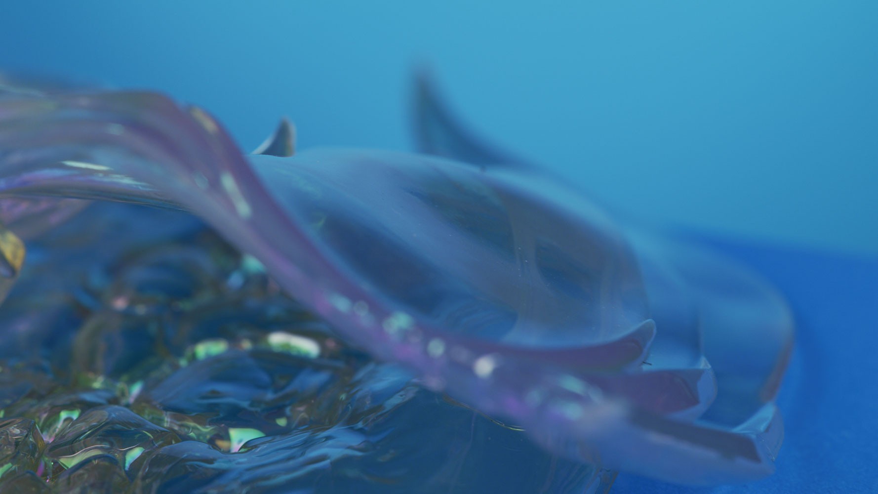 Aurene Dragon