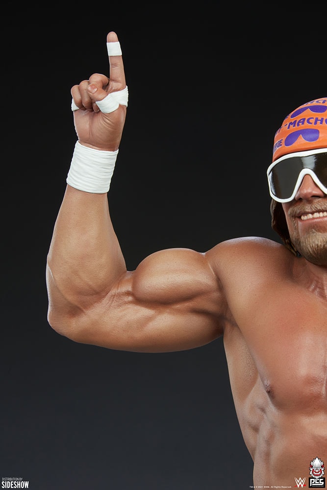 "Macho Man" Randy Savage (Prototype Shown) View 8