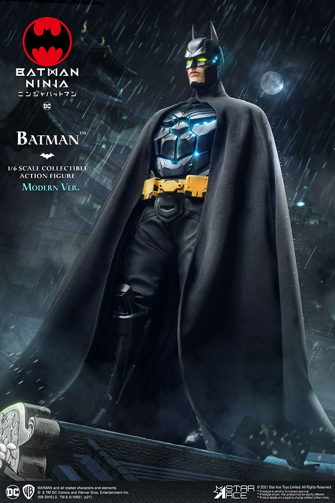 Modern Batman (Normal Version) Collector Edition (Prototype Shown) View 9