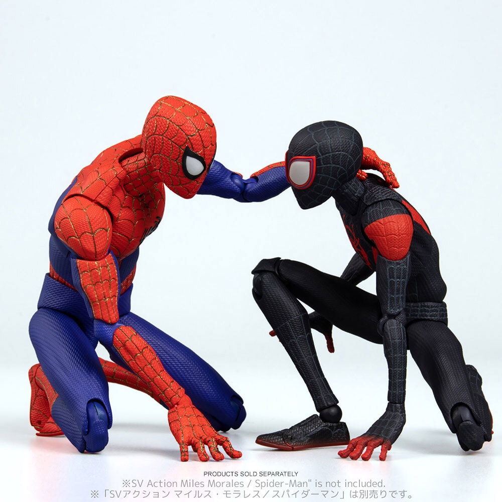 Spider-Man Peter B. Parker