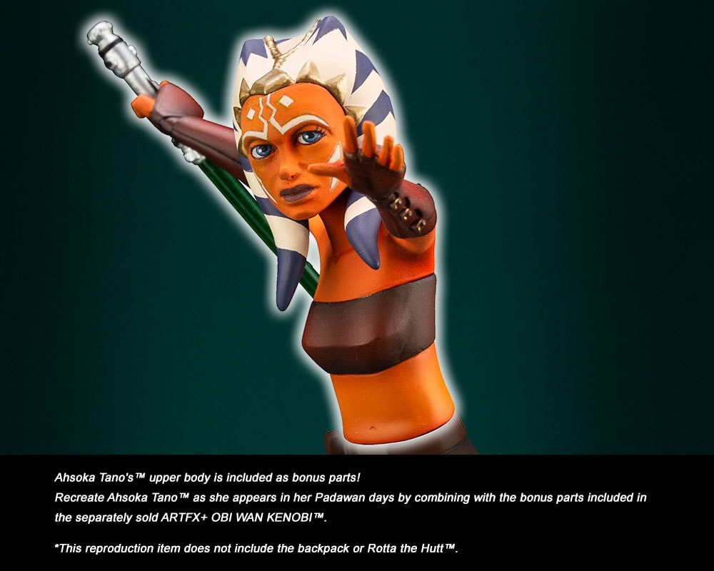 Anakin Skywalker (Prototype Shown) View 2