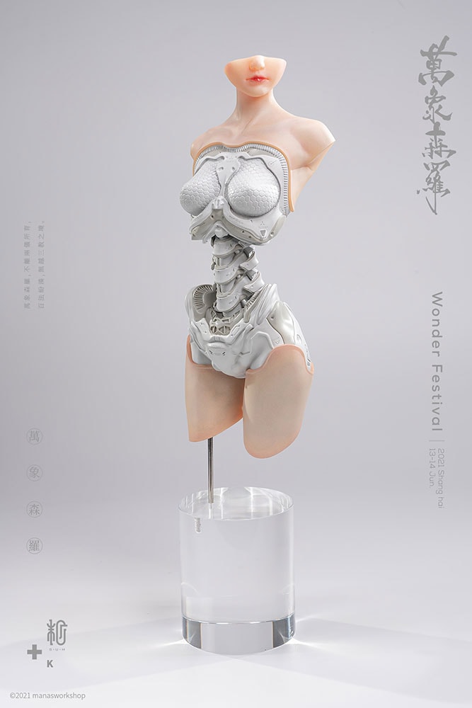 Android EL01 Torso ver.1