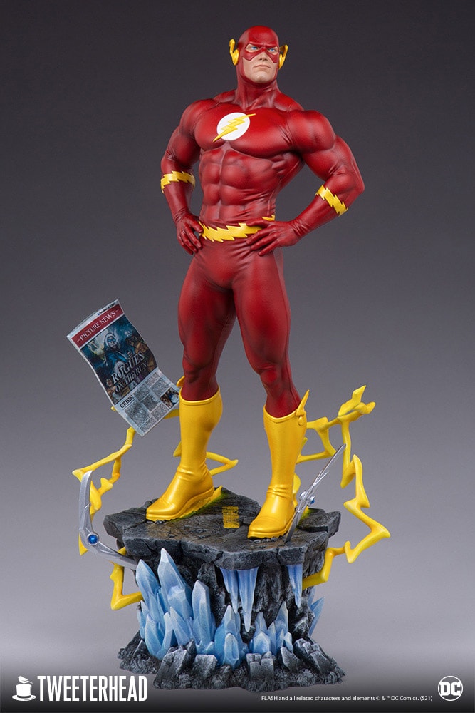 The Flash Collector Edition (Prototype Shown) View 6