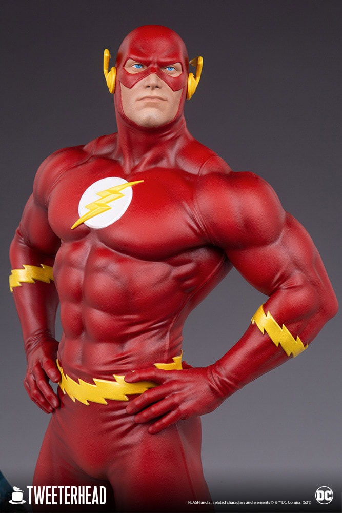 The Flash Collector Edition (Prototype Shown) View 12