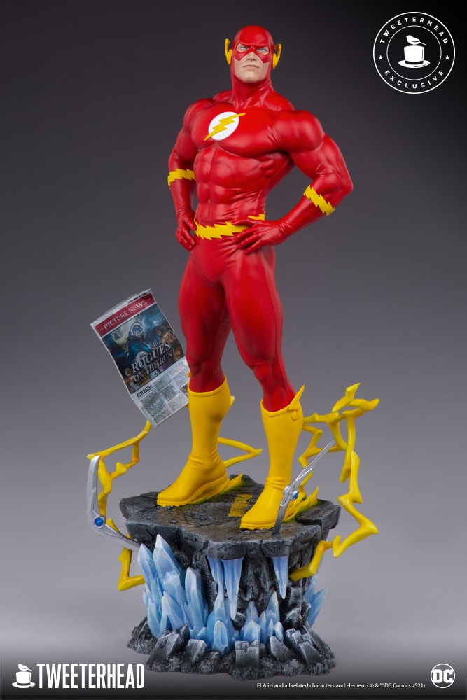The Flash Exclusive Edition (Prototype Shown) View 6