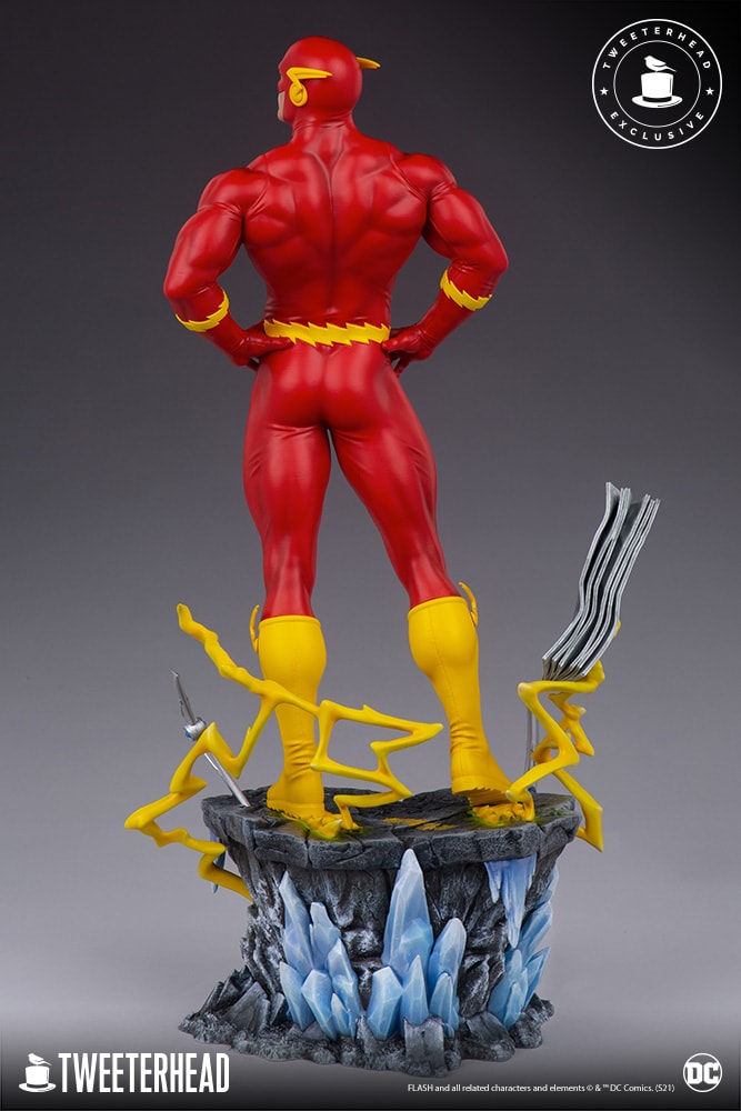 The Flash Exclusive Edition (Prototype Shown) View 8