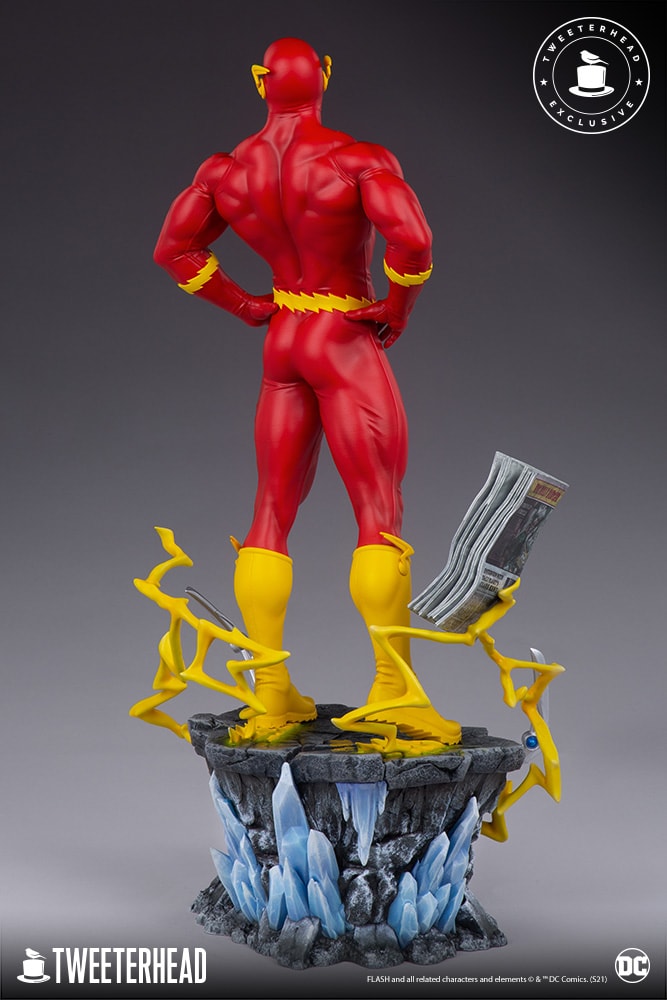 The Flash Exclusive Edition (Prototype Shown) View 9