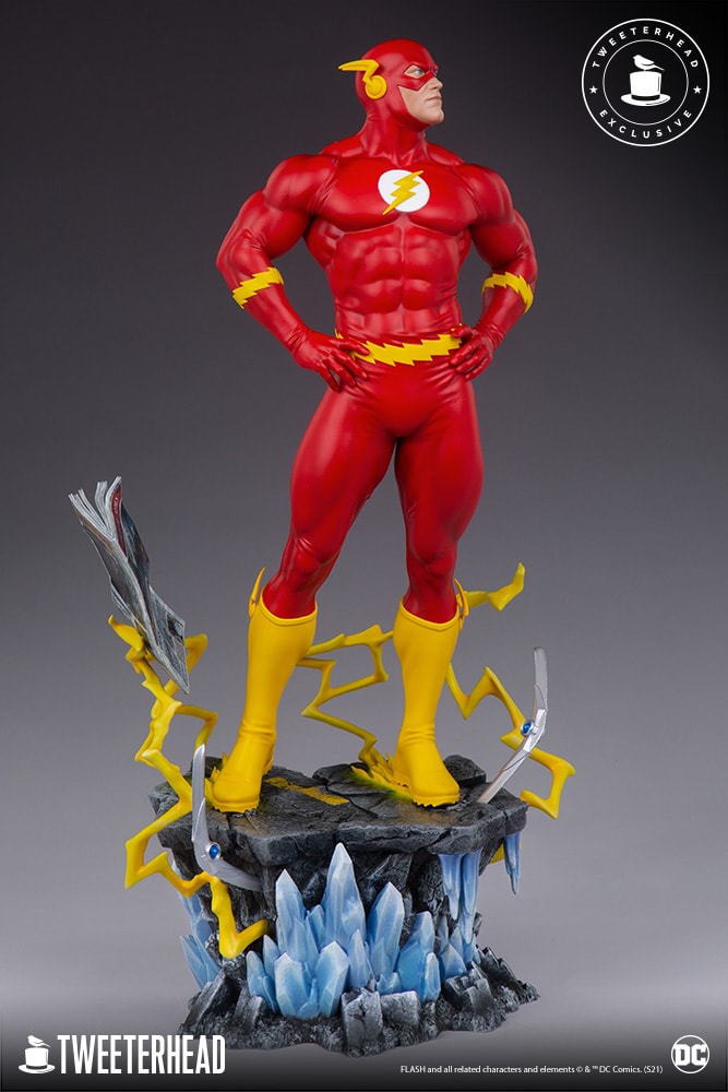 The Flash Exclusive Edition (Prototype Shown) View 10