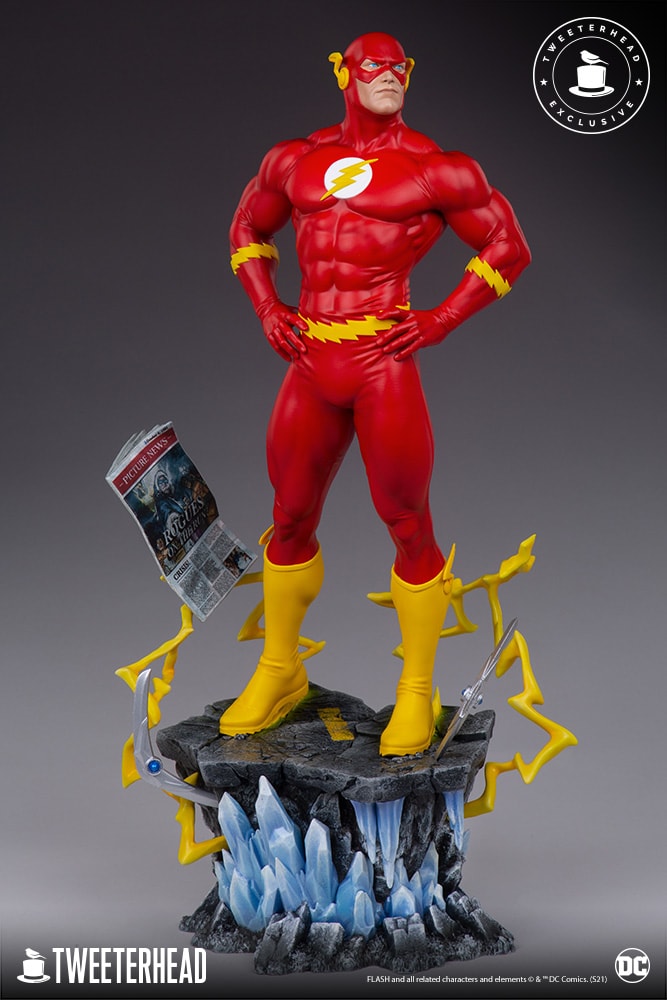 The Flash Exclusive Edition (Prototype Shown) View 11