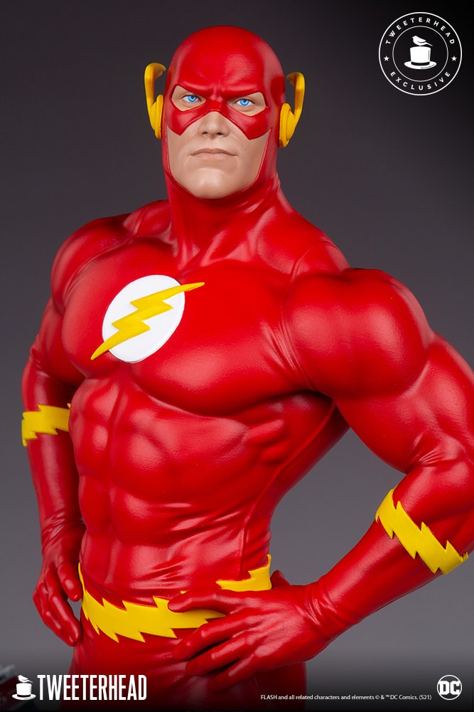 The Flash Exclusive Edition (Prototype Shown) View 12