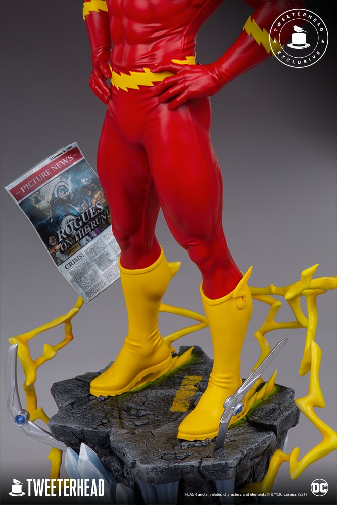 The Flash Exclusive Edition (Prototype Shown) View 16