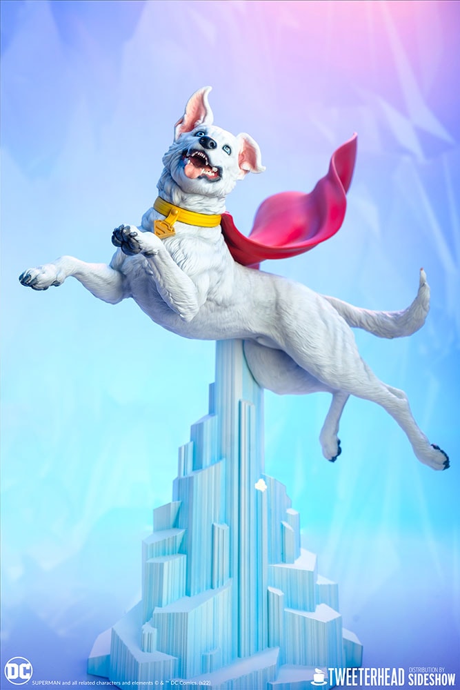 Krypto (Prototype Shown) View 19