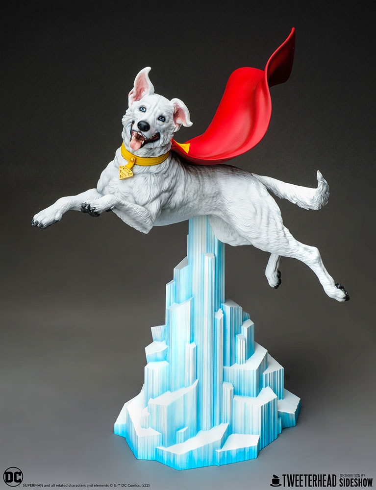 Krypto (Prototype Shown) View 16