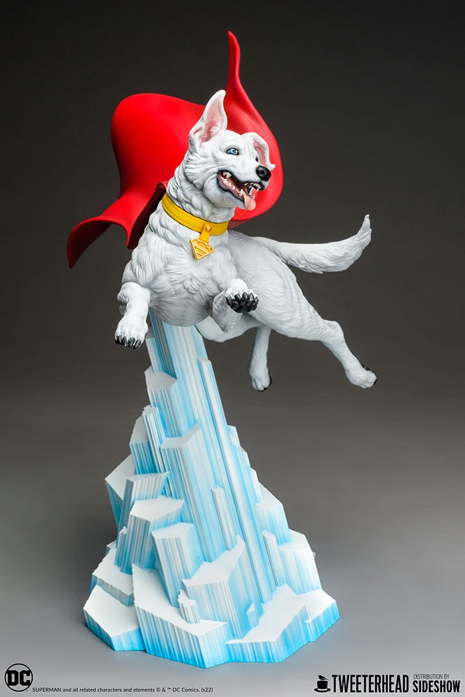 Krypto (Prototype Shown) View 10
