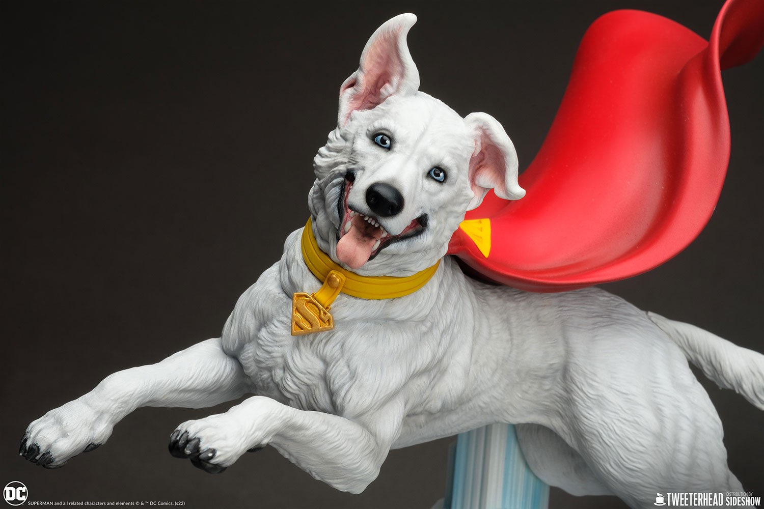 Krypto (Prototype Shown) View 9