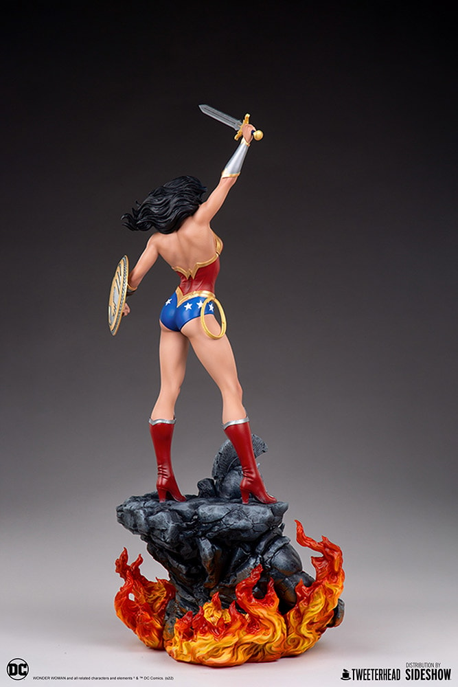 Wonder Woman (Prototype Shown) View 14