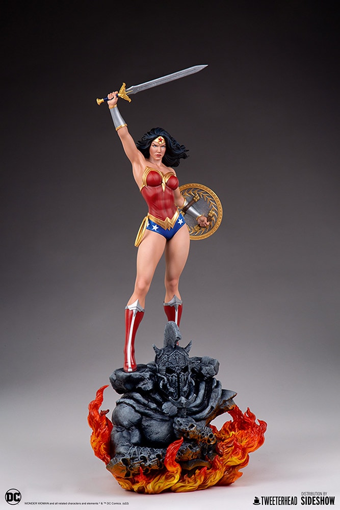 Wonder Woman (Prototype Shown) View 2