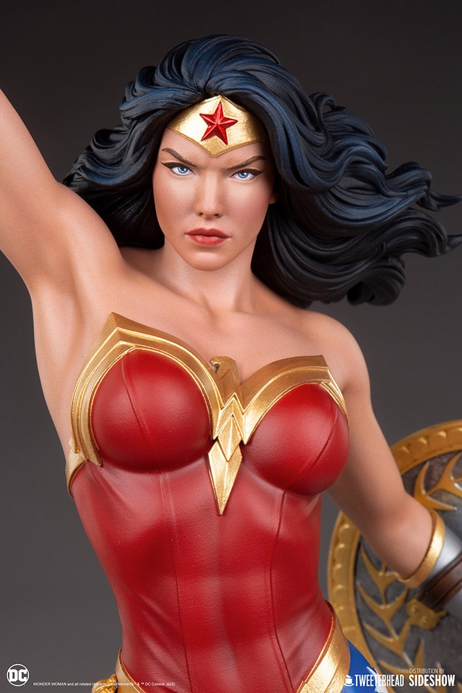 Wonder Woman Exclusive Edition (Prototype Shown) View 15
