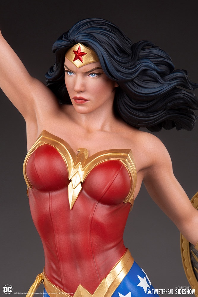 Wonder Woman (Prototype Shown) View 9