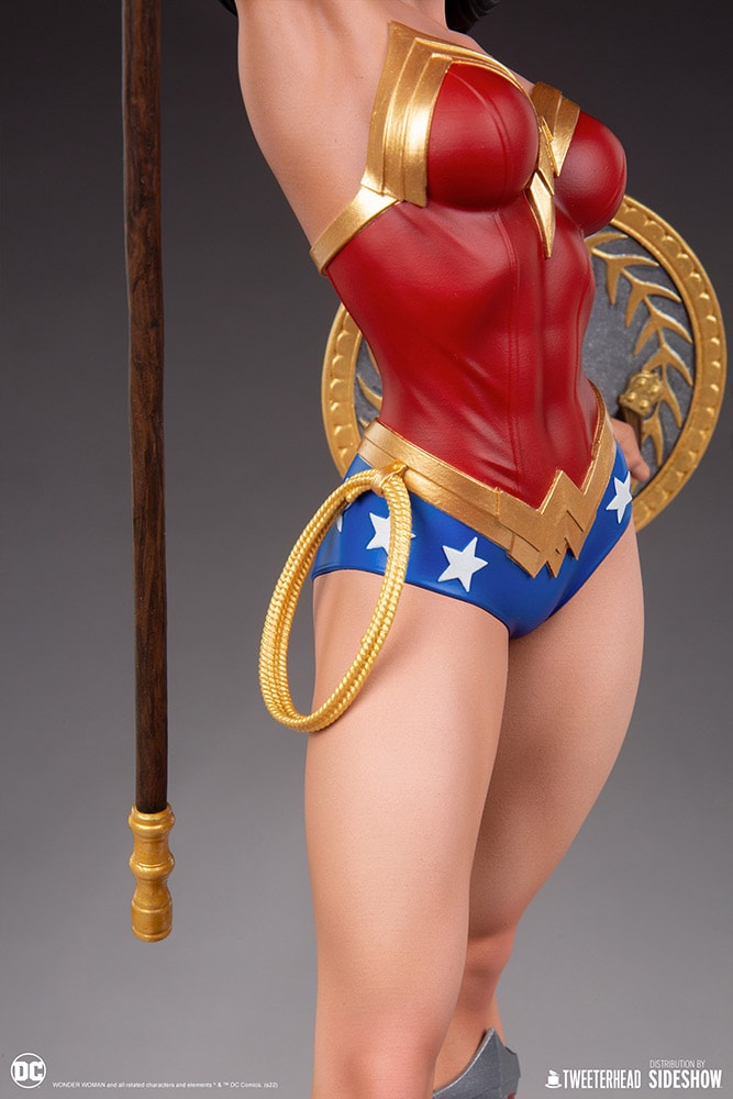 Wonder Woman (Prototype Shown) View 8