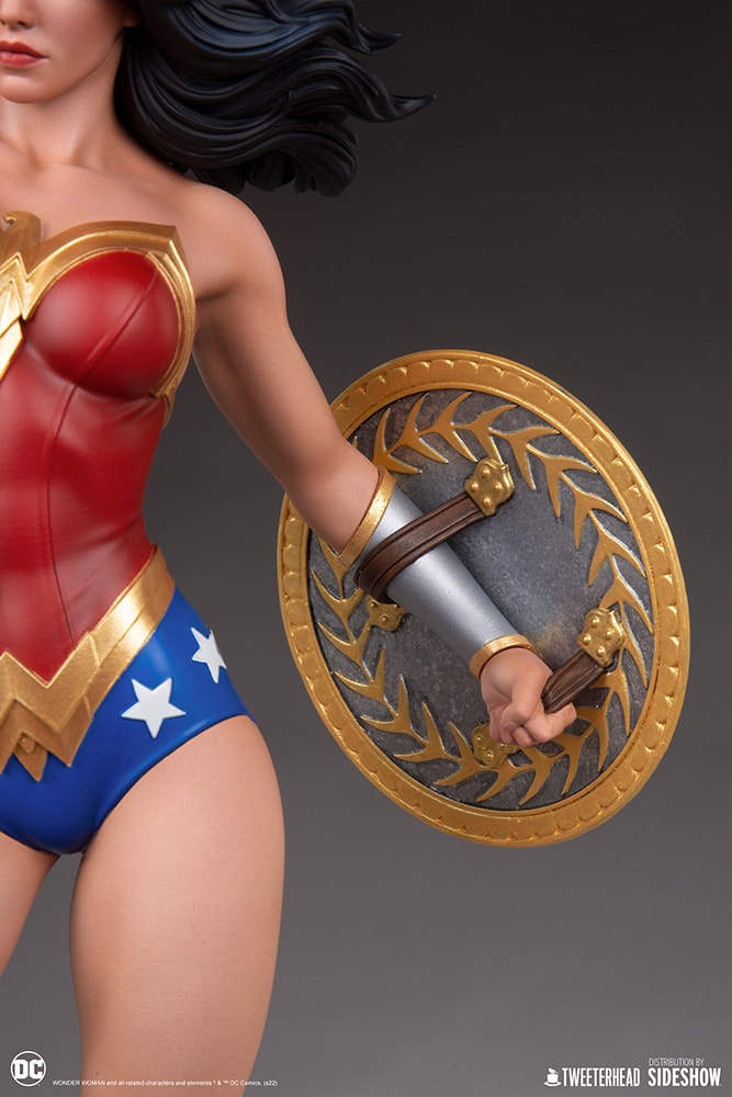 Wonder Woman (Prototype Shown) View 7