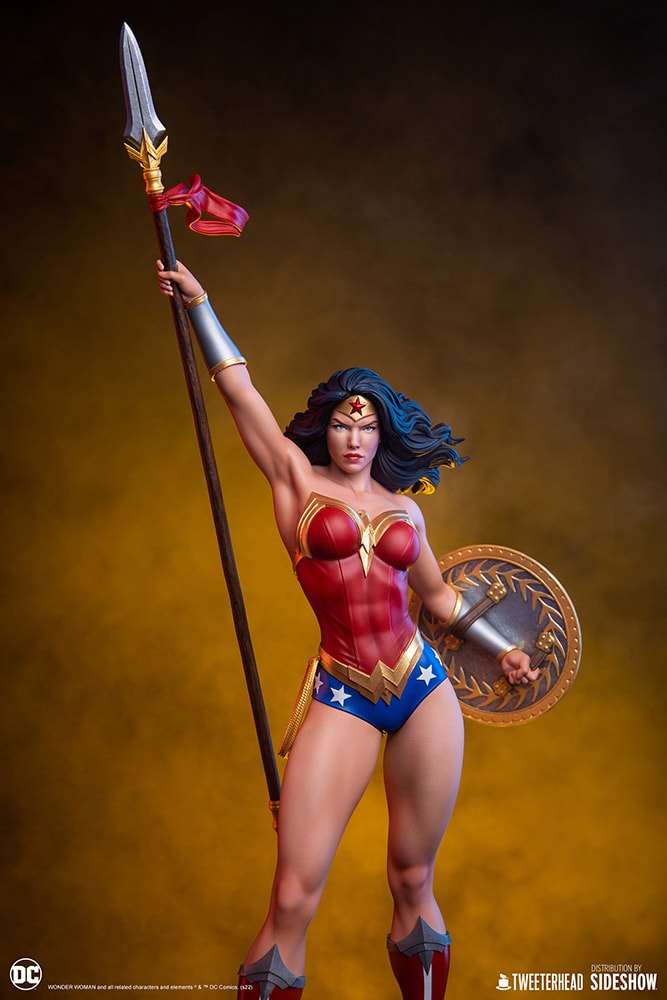 Wonder Woman (Prototype Shown) View 22
