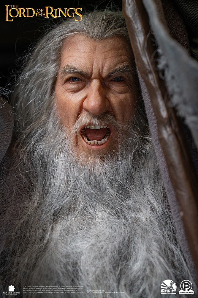 Gandalf the Grey (Ultimate Edition)