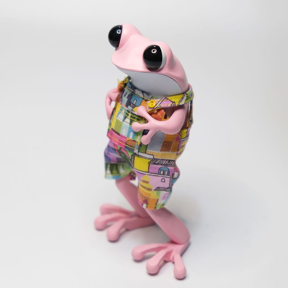 Townie Froggie- Prototype Shown