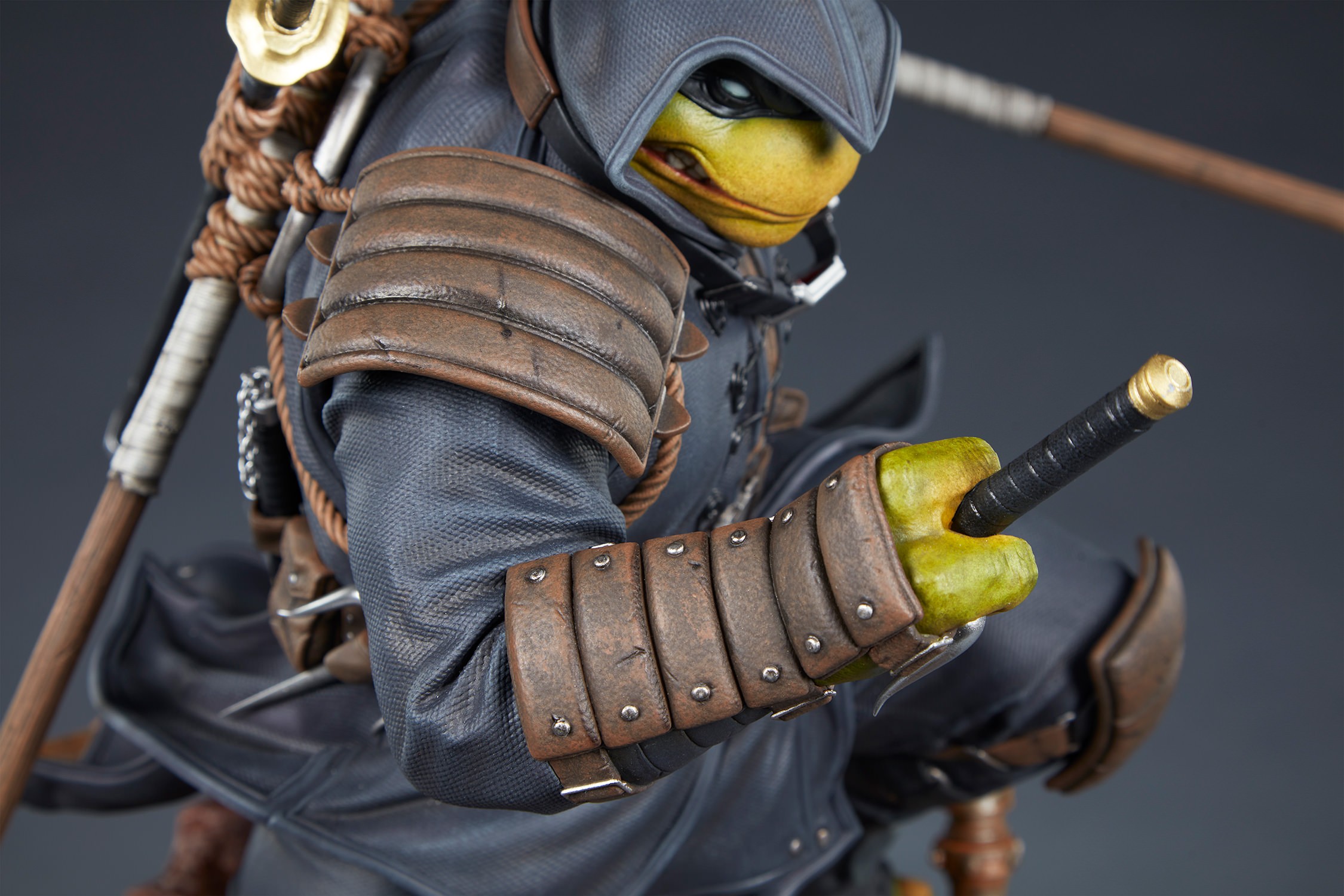 The Last Ronin Collector Edition (Prototype Shown) View 25