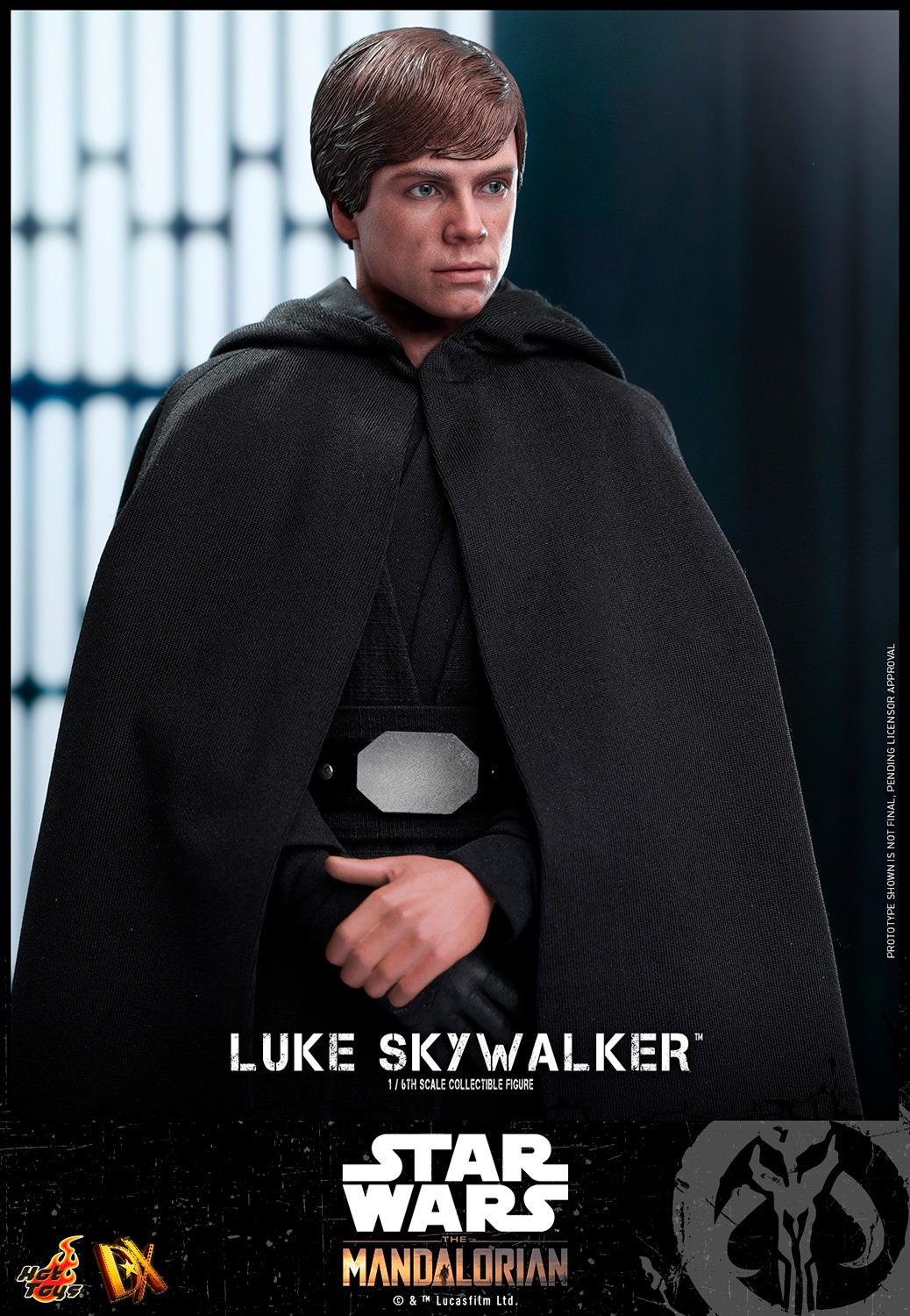 Luke Skywalker Collector Edition (Prototype Shown) View 9