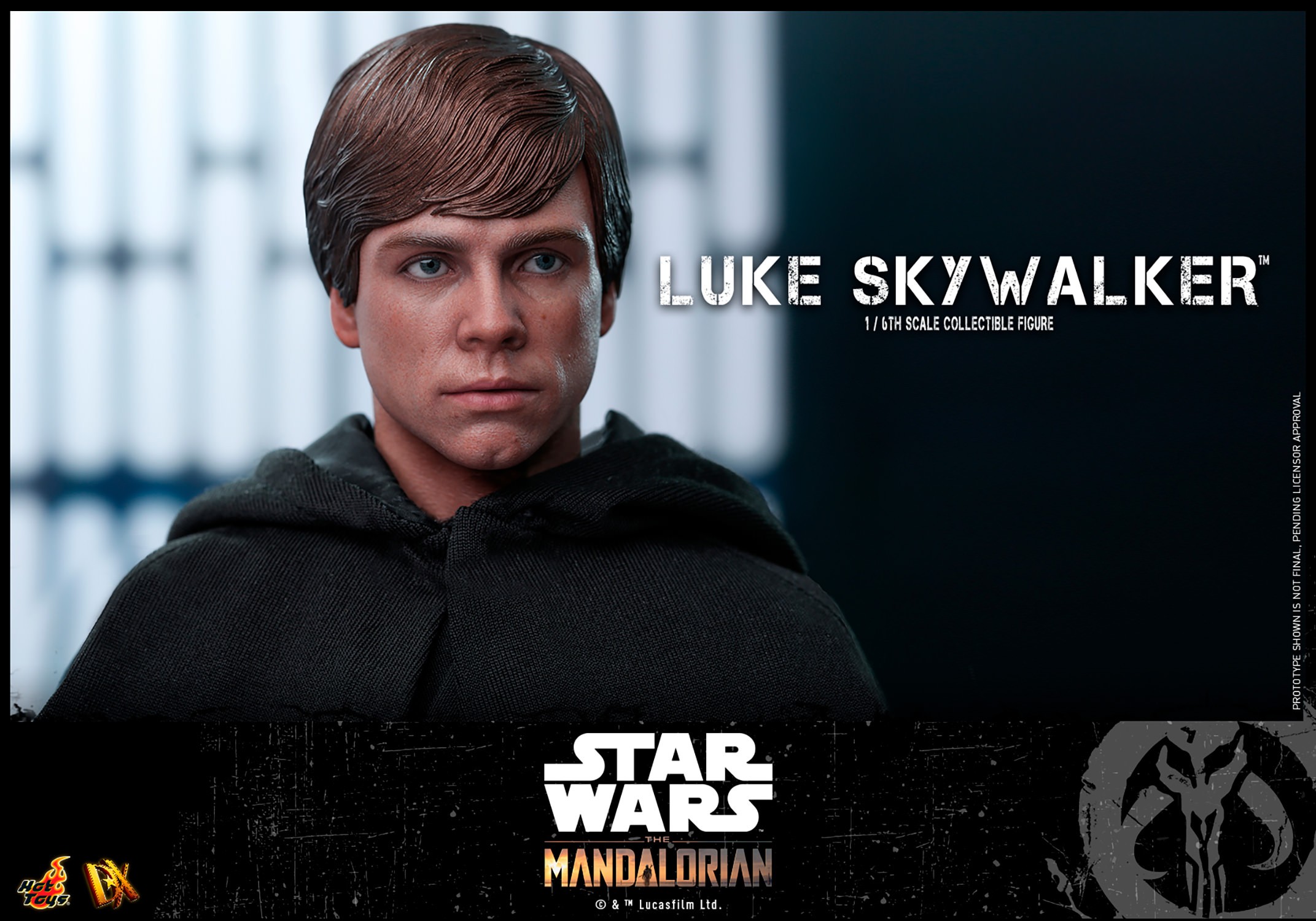 Luke Skywalker Collector Edition (Prototype Shown) View 12