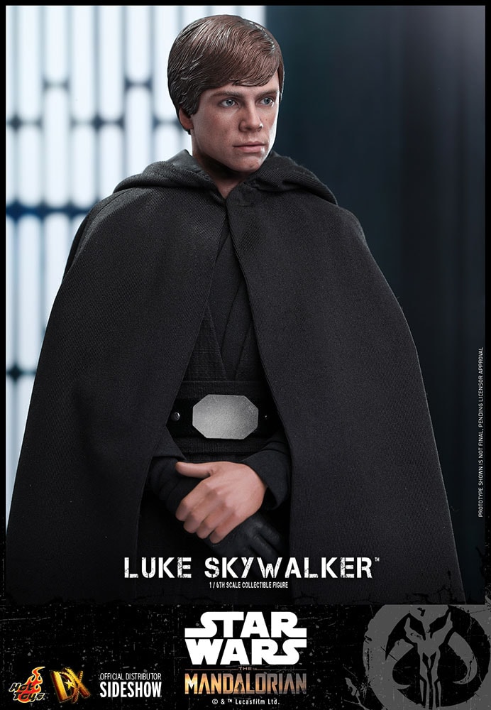 Luke Skywalker (Special Edition) Exclusive Edition (Prototype Shown) View 8