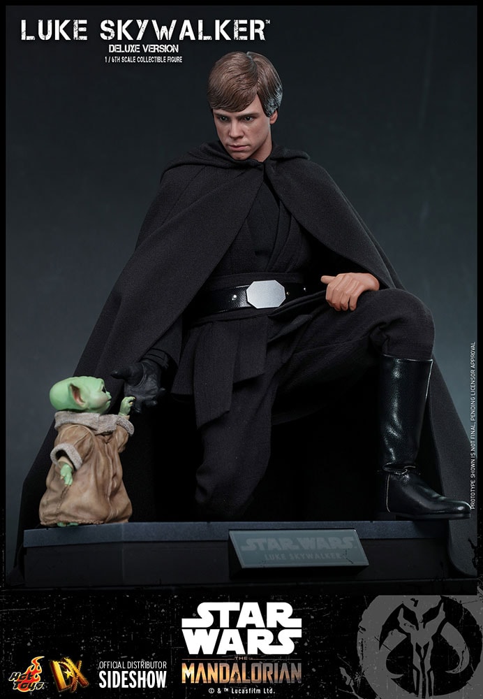 Luke Skywalker (Deluxe Version) (Special Edition) Exclusive Edition (Prototype Shown) View 13