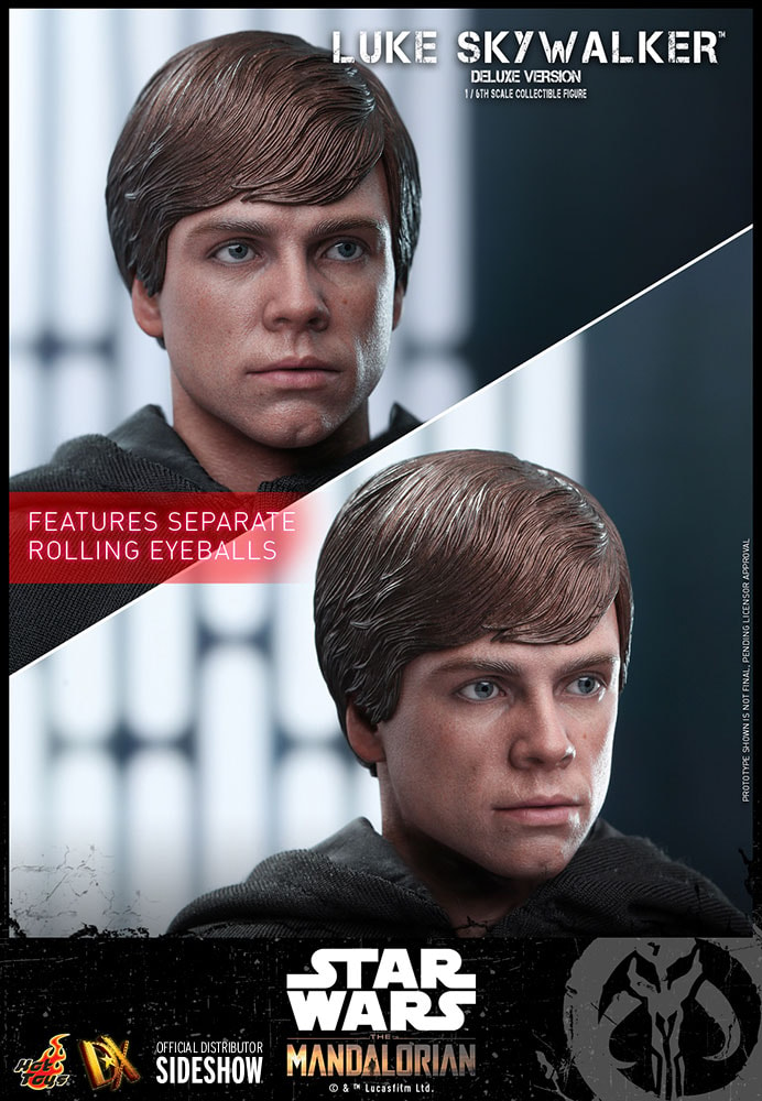Luke Skywalker (Deluxe Version) (Special Edition) Exclusive Edition (Prototype Shown) View 12