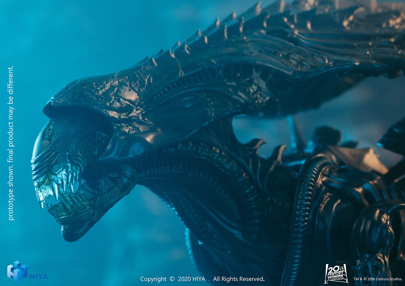 Alien Queen (Battle Damaged) (Prototype Shown) View 5
