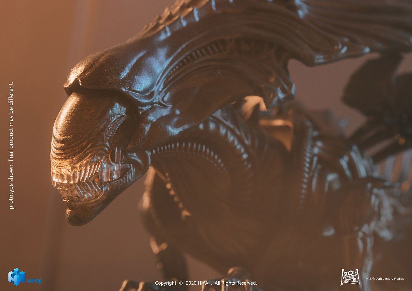 Alien Queen (Prototype Shown) View 5
