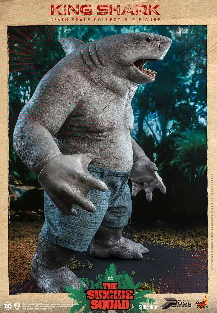 King shark box discount logo