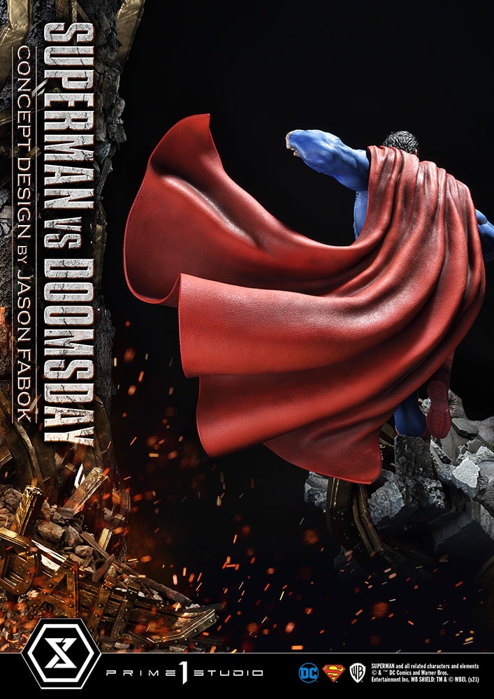 Superman VS Doomsday Collector Edition View 25
