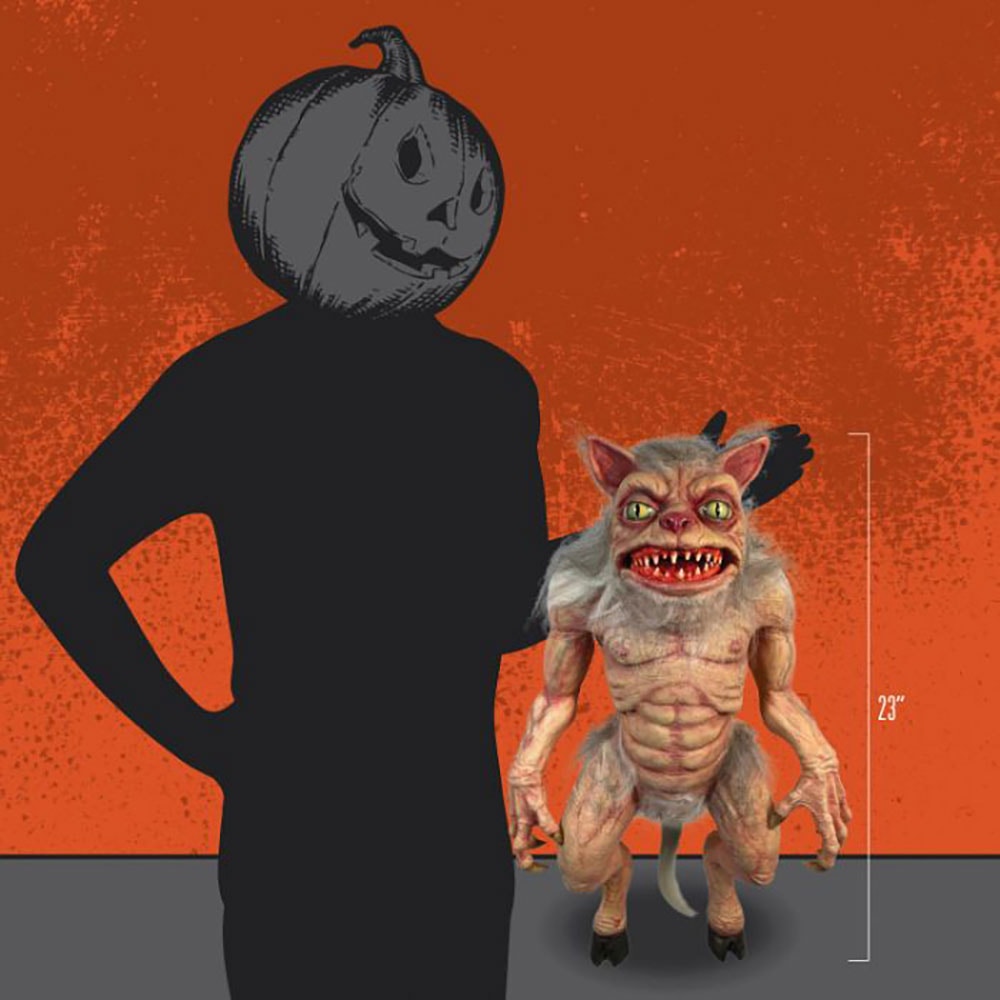 Cat Ghoulie
