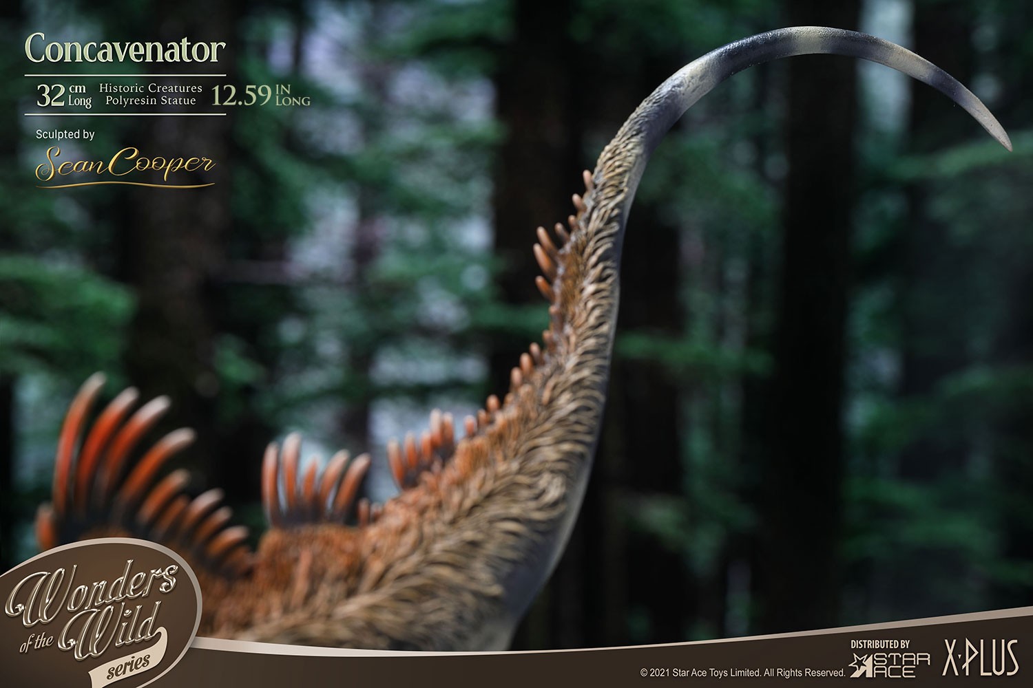 Concavenator
