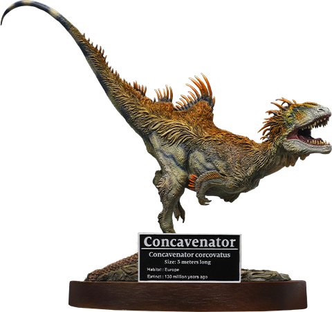 Concavenator