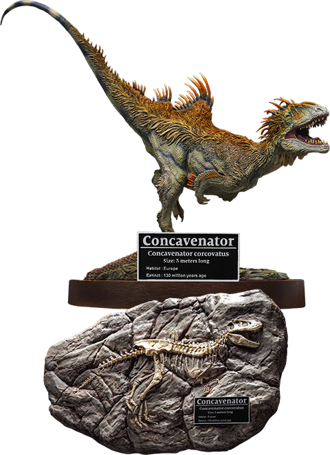 Concavenator Deluxe