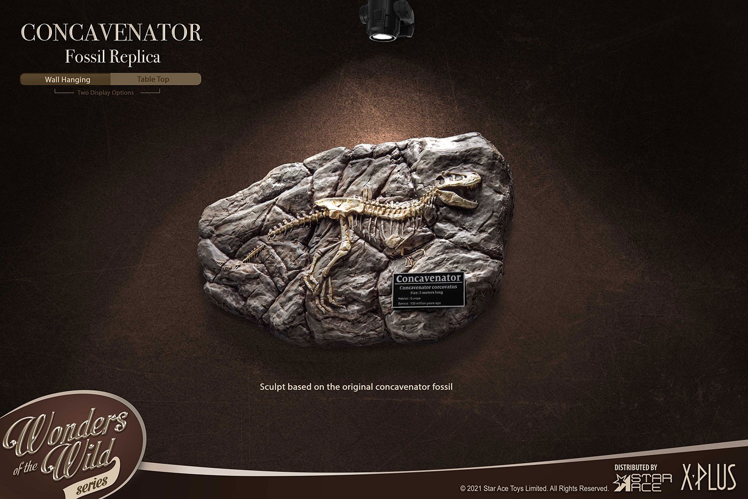 Fossil- Prototype Shown